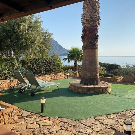 Appartement Il Bacio Del Sole à Tertenìa Extérieur photo