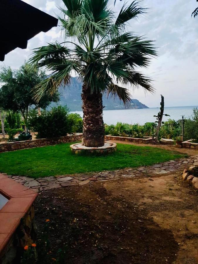 Appartement Il Bacio Del Sole à Tertenìa Extérieur photo