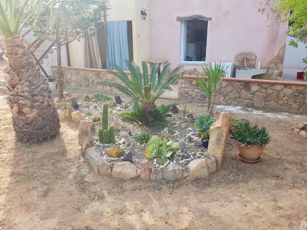 Appartement Il Bacio Del Sole à Tertenìa Extérieur photo